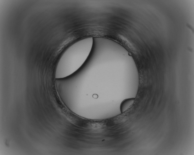 X0000092240163200709141011