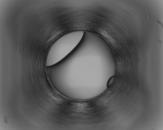 X0000092240165200709141011