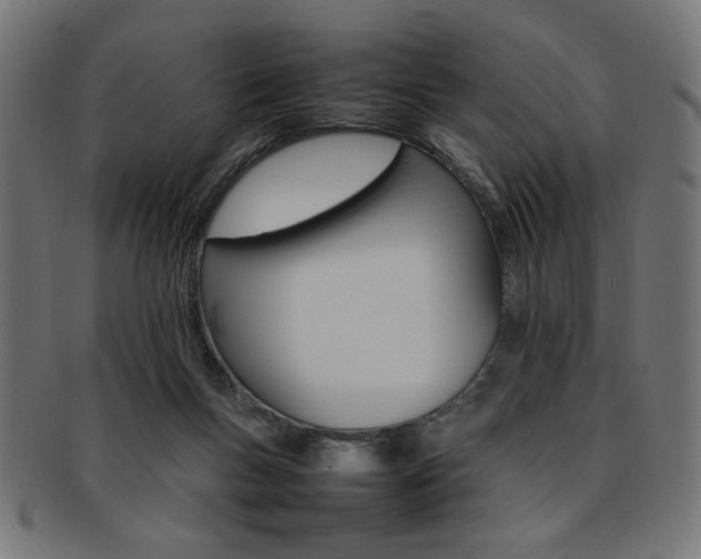X0000092240167200709141011