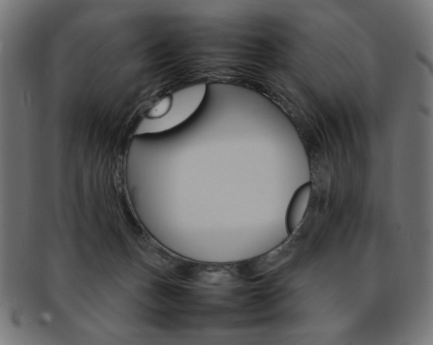 X0000092240175200709141011