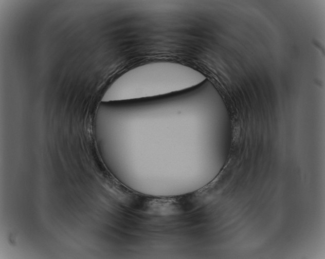 X0000092240179200709141011