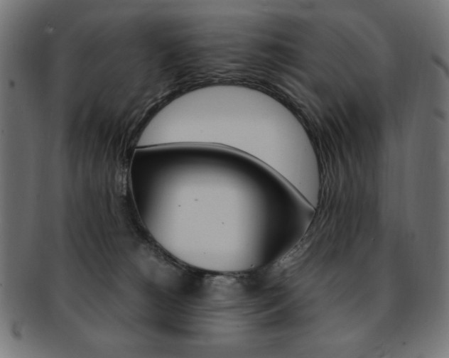X0000092240180200709141011