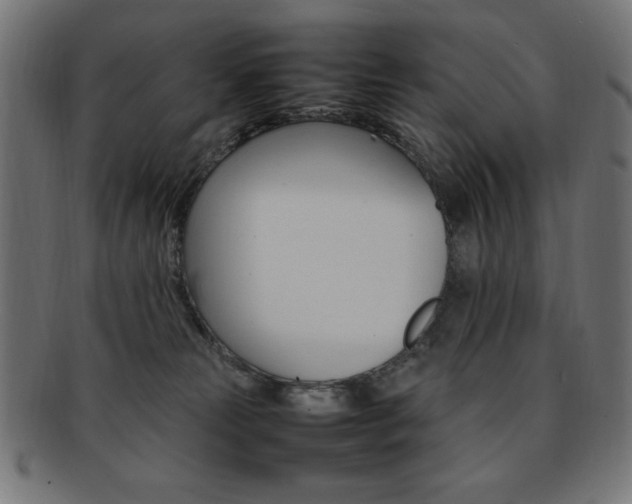 X0000092240181200709141011