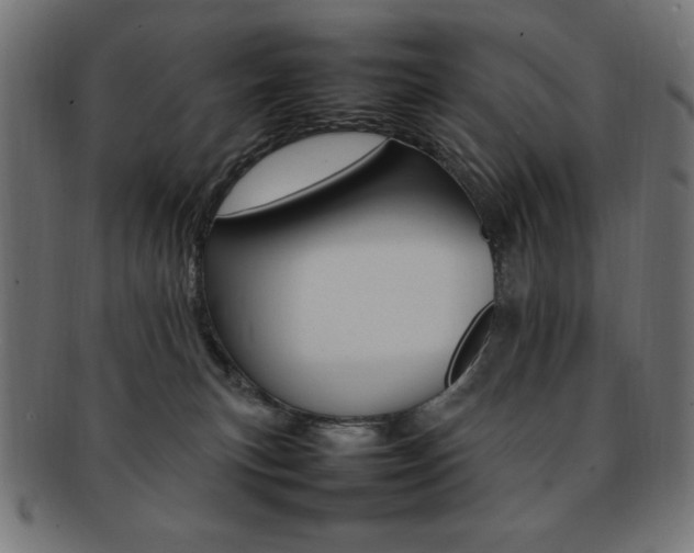 X0000092240183200709141011