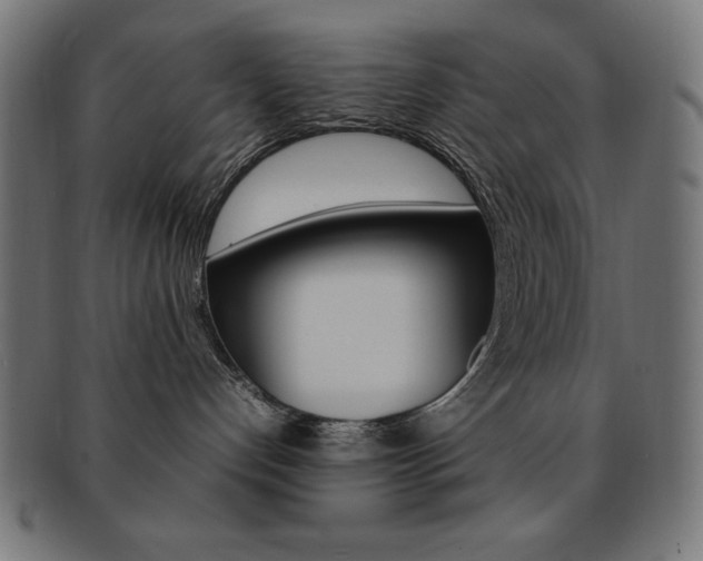 X0000092240192200709141011