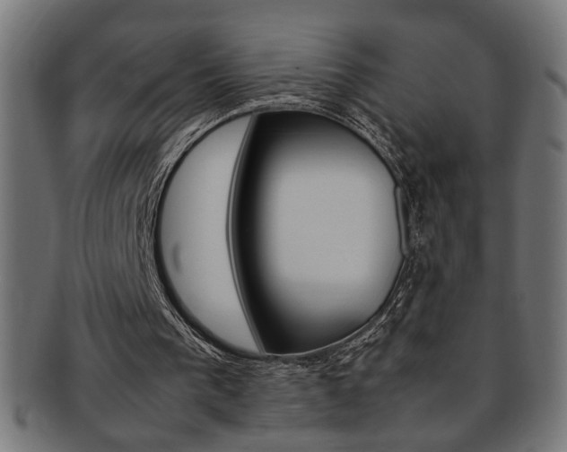 X0000092240193200709141010