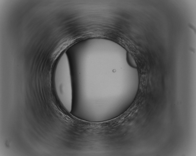 X0000092240194200709141010