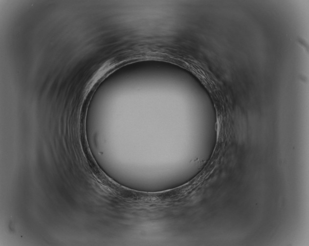 X0000092240195200709141010