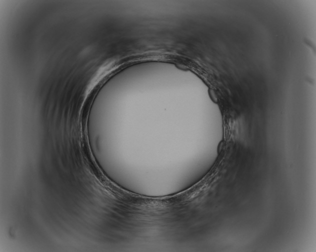 X0000092240198200709141010