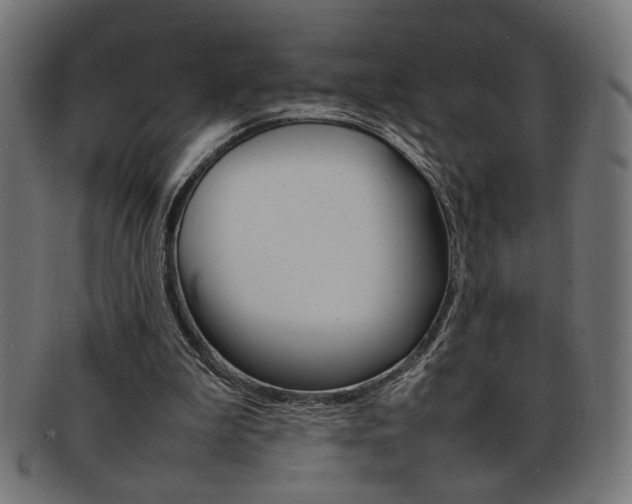 X0000092240199200709141010