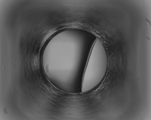 X0000092240200200709141010