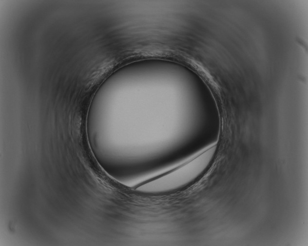 X0000092240201200709141010