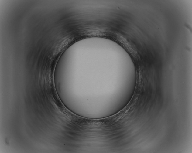 X0000092240202200709141010