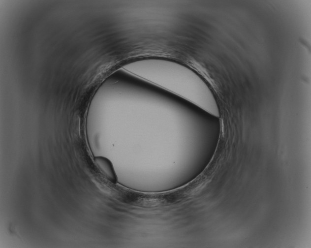 X0000092240205200709141010
