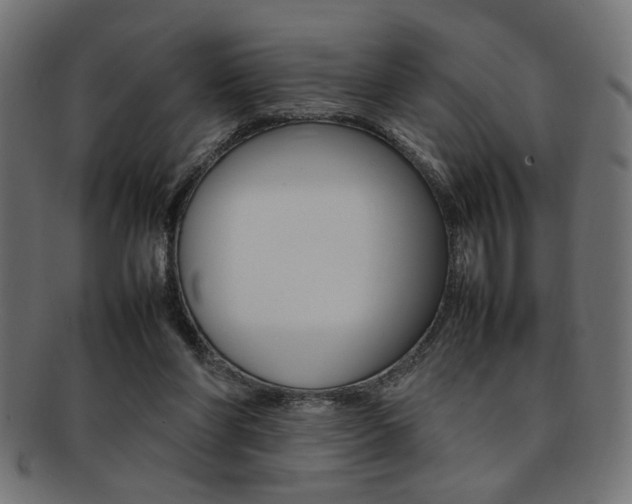 X0000092240206200709141010
