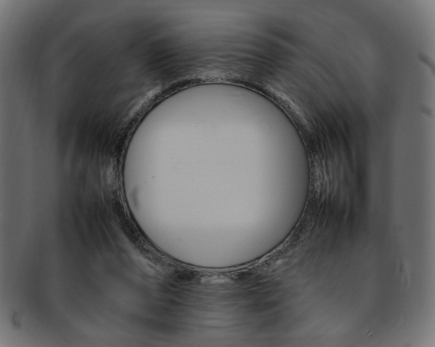 X0000092240208200709141010