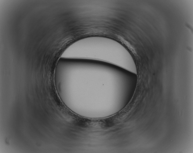 X0000092240209200709141010