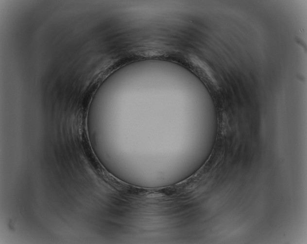 X0000092240210200709141010