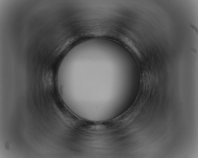 X0000092240212200709141010