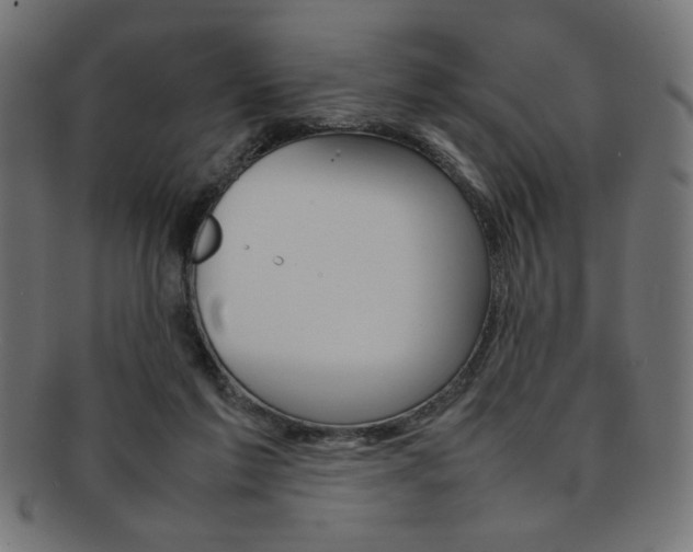X0000092240213200709141010