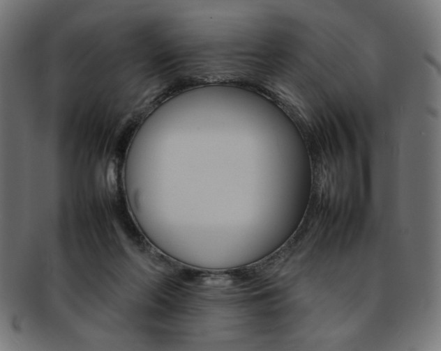 X0000092240214200709141010