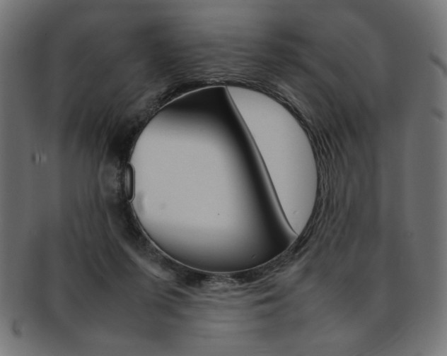 X0000092240215200709141010