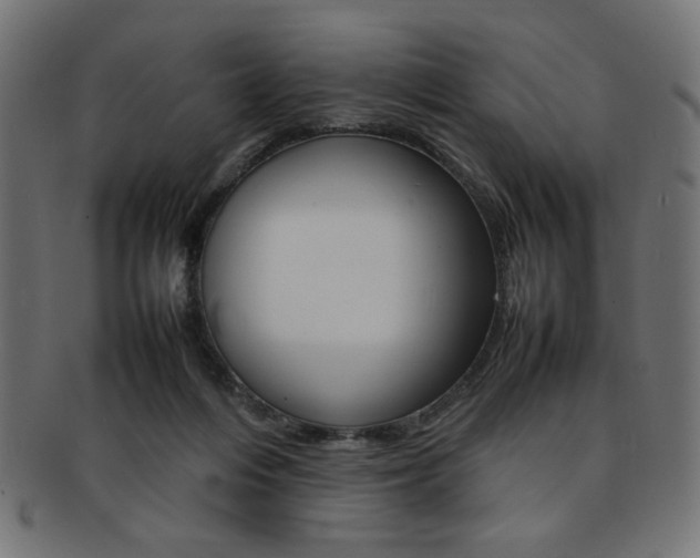 X0000092240216200709141010