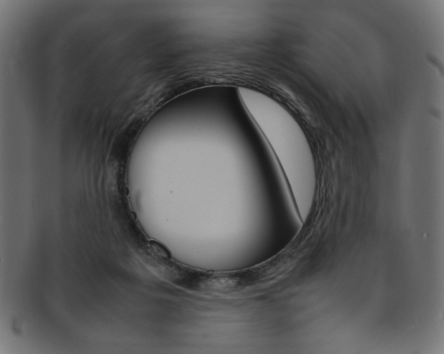 X0000092240217200709141010