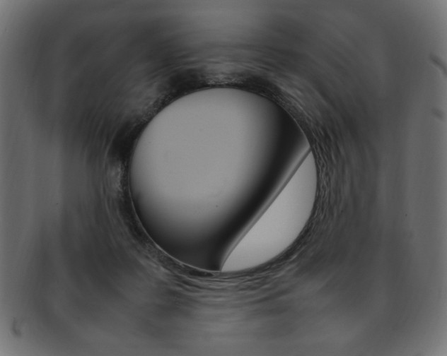 X0000092240219200709141010