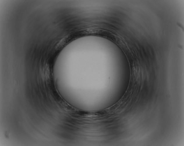 X0000092240220200709141010