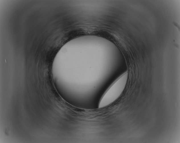 X0000092240221200709141010