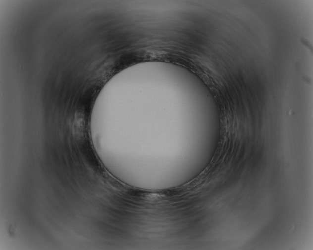 X0000092240222200709141010