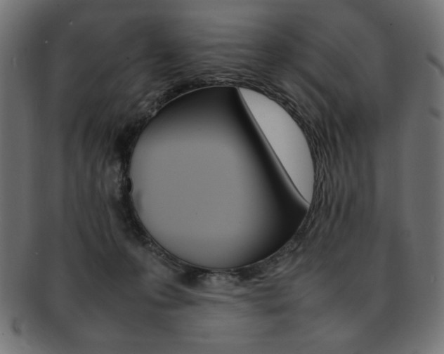 X0000092240223200709141010