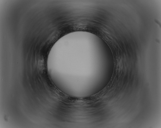 X0000092240224200709141010