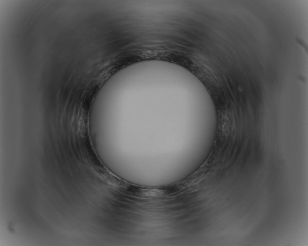 X0000092240226200709141010