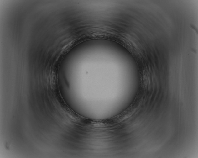 X0000092240228200709141010
