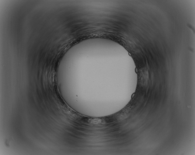 X0000092240230200709141010