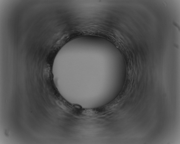 X0000092240231200709141010