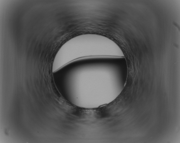 X0000092240233200709141010