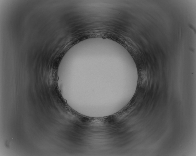X0000092240236200709141010