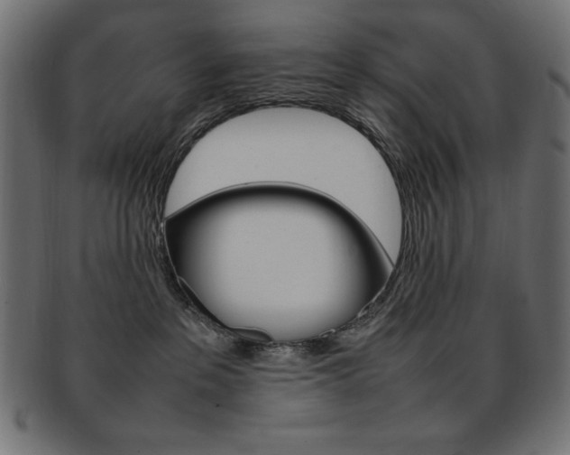 X0000092240237200709141010