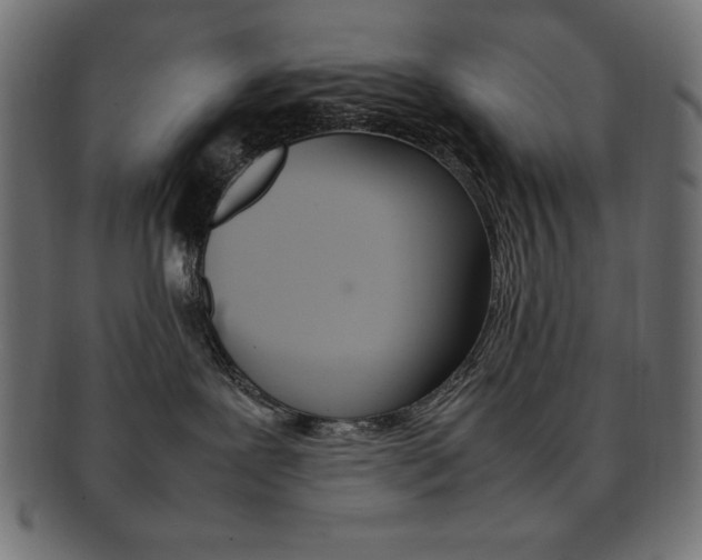 X0000092240239200709141010