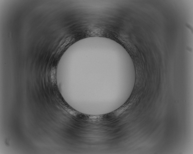 X0000092240240200709141010