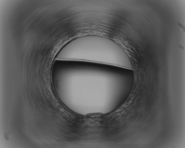 X0000092240241200709141009