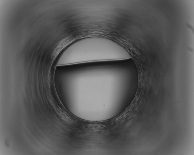 X0000092240242200709141009