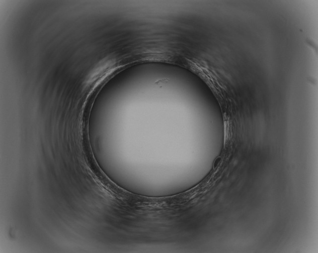X0000092240243200709141009