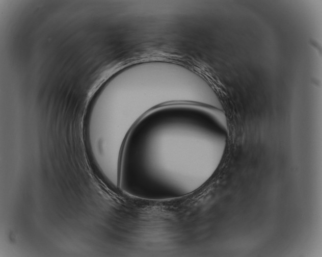 X0000092240244200709141009