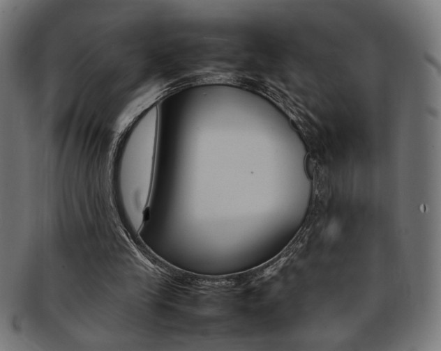 X0000092240245200709141009