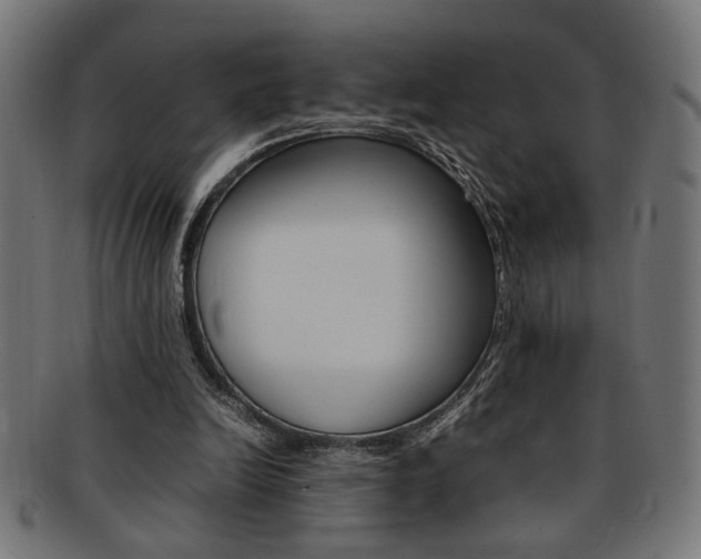 X0000092240246200709141009