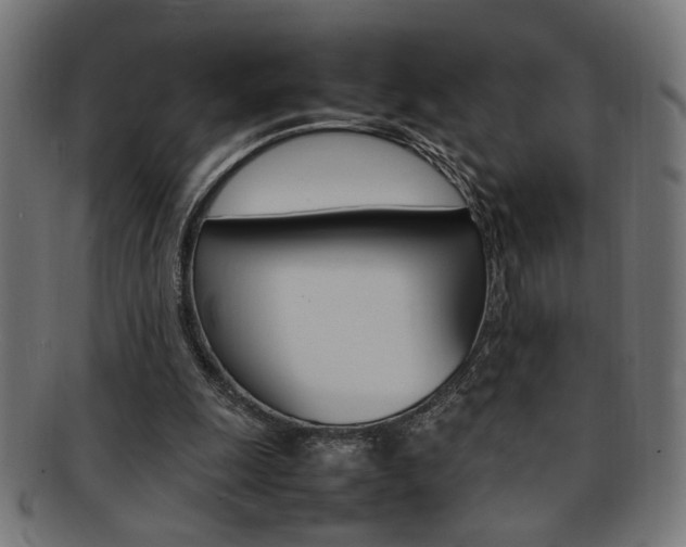 X0000092240247200709141009